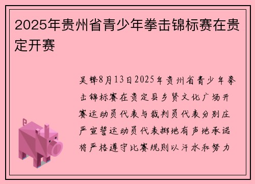 2025年贵州省青少年拳击锦标赛在贵定开赛